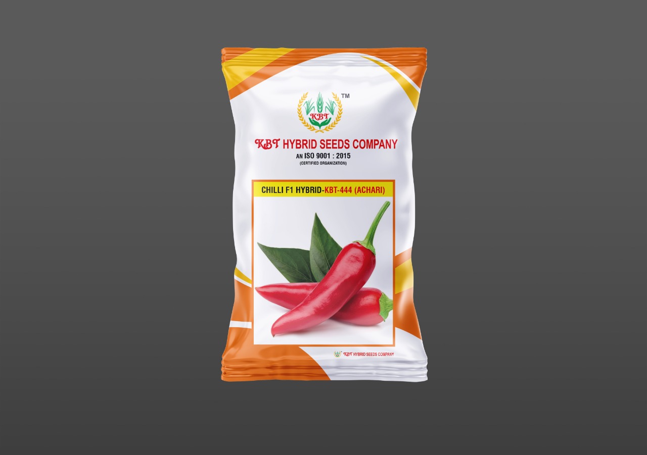 CHILLI  F1 HYBRID - KBT-444 (ACHARI)  10g 